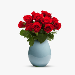 12 trandafiri rosii cu vaza