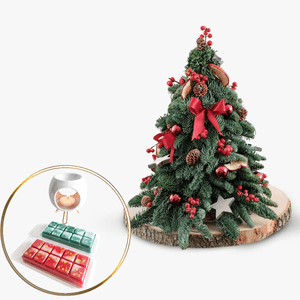 Package with mini Christmas tree and burner with scented tablets