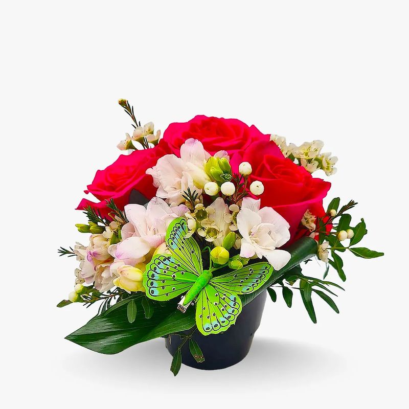 Fluturi-si-flori---Standard