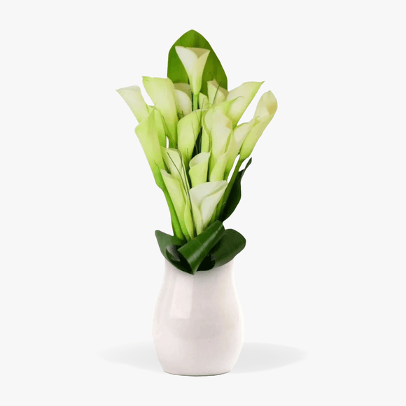 Bouquet of 19 white calla lilies