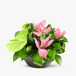 Aranjament-floral-cu-anthurium-si-orhidee