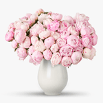 Buchet-de-55-bujori-roz