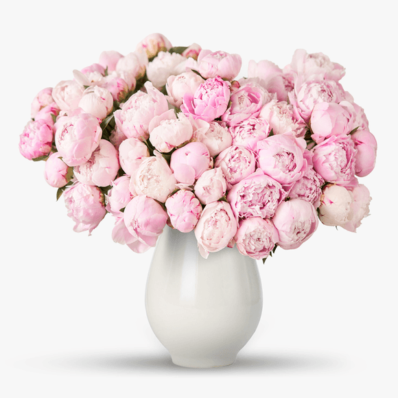 Bouquet of 55 pink peonies