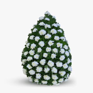 Fir funeral wreath with white chrysanthemums