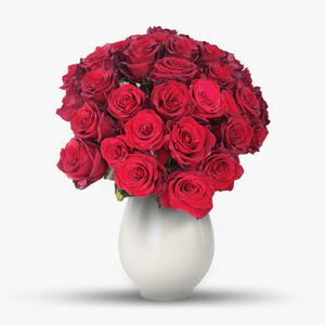 Bouquet of 39 red roses