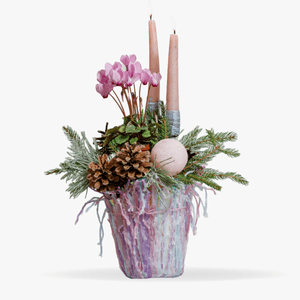 Christmas arrangement with plants