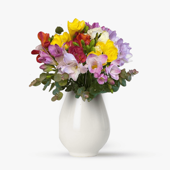 Bouquet of multicolored freesias