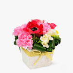 Primavara cu dragoste