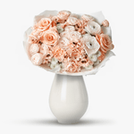 AmintiridinCasablancaStandard