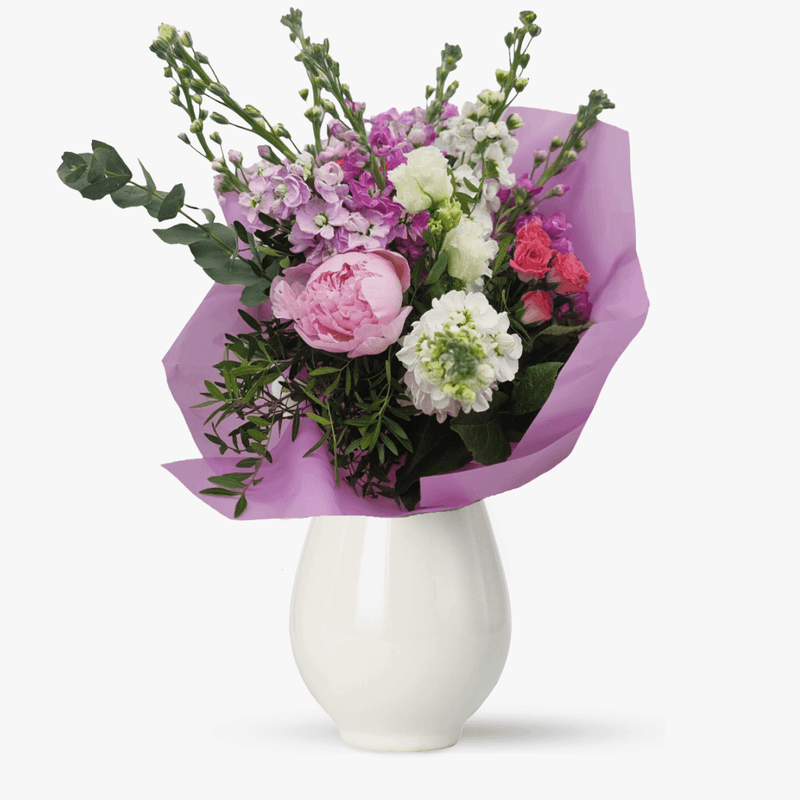 matthiola