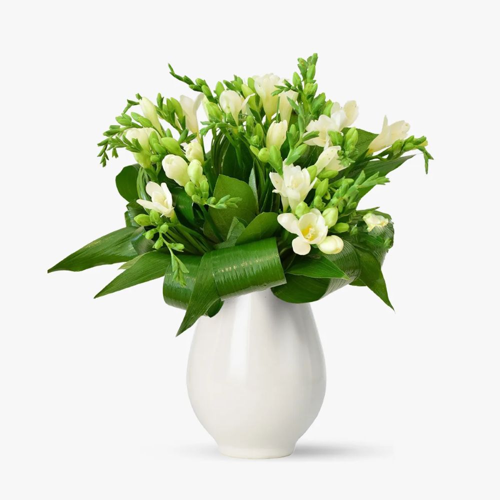 buchet de frezii albe in vas alb; florarie online&nbsp;